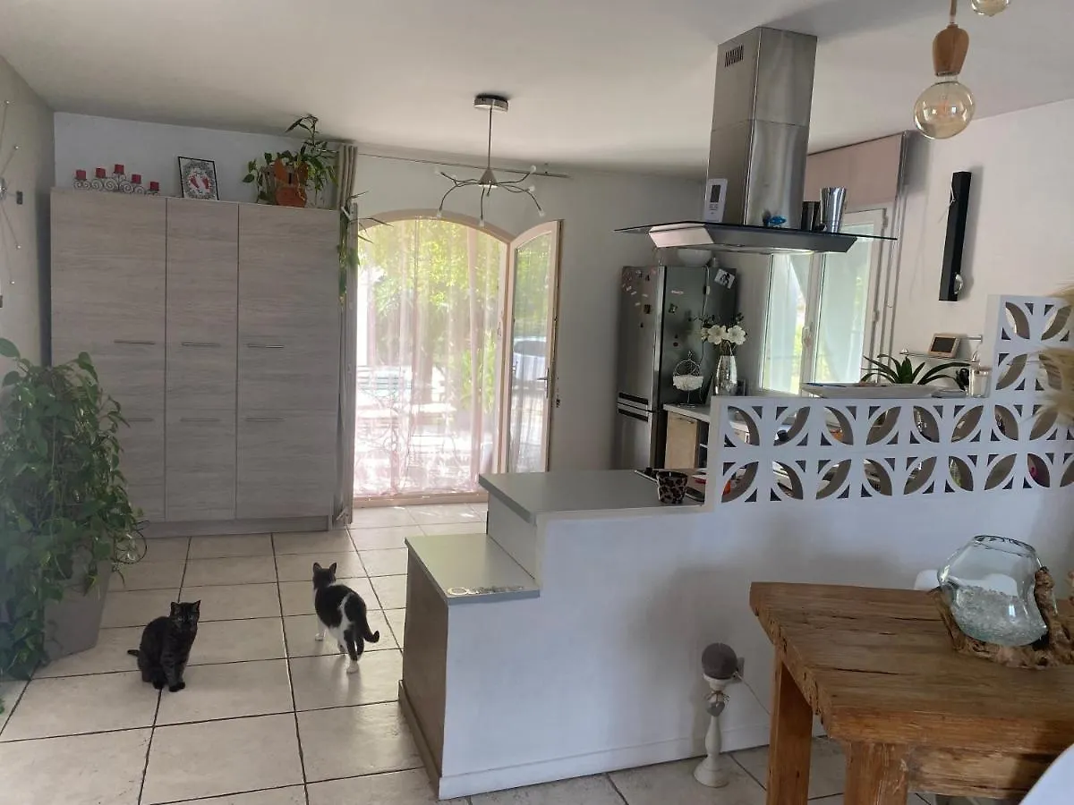 Villa Zen Avec 2 Chats Grospierres